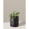 Vaso de Cerâmica com Prato para Plantas Preto Pequeno - 5