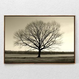 Quadro Decorativo Arvore Galhos Secos Com Moldura e Sem Vidro 90X140 - 1