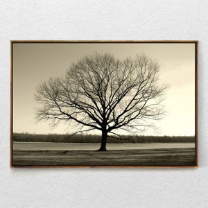 Quadro Decorativo Arvore Galhos Secos Com Moldura e Sem Vidro 90X140