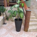 Ver imagem 4 de Kit Vaso Planta + Prato 75x50 Redondo Cônico Polietileno BGPLASTICOS PRETO 002