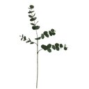 Ver imagem 1 de Planta Artificial Galho Eucalipto Real Toque 3d X39 Verde 85cm