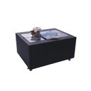 Ver mais imagens de Lareira Mesa de Centro Ecológica a Álcool 92° Preto Classe a