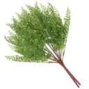 Ver imagem 2 de 2 Ramos Artificial Salsinha Flor Plantas com 13 Galhos 46cm