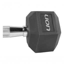 Par de Halteres Lion Performance Sextavado 1kg Aço Cromado - 4