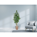 Ver imagem 2 de Planta Árvore Artificial Bambu Real Toque 1,6m Kit + Vaso E. Bege 32cm