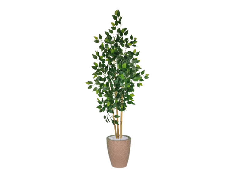 Planta Árvore Artificial Bambu Real Toque 1,6m Kit + Vaso E. Bege 32cm - 1