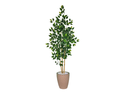 Ver imagem 1 de Planta Árvore Artificial Bambu Real Toque 1,6m Kit + Vaso E. Bege 32cm