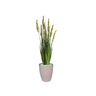 Planta Árvore Artificial Grass com Grão 90 cm Kit + Vaso S. Bege 30 cm - 1