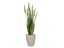 Ver imagem 1 de Planta Árvore Artificial Grass com Grão 90 cm Kit + Vaso S. Bege 30 cm