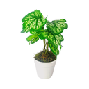 Ver imagem 1 de Arranjo de Planta Artificial em Vaso de Plástico Modelo:Planta Caucasiano
