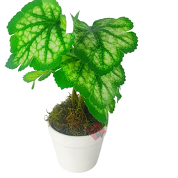 Arranjo de Planta Artificial em Vaso de Plástico Modelo:planta Caucasiano - 2