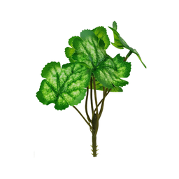 Arranjo de Planta Artificial em Vaso de Plástico Modelo:planta Caucasiano - 3