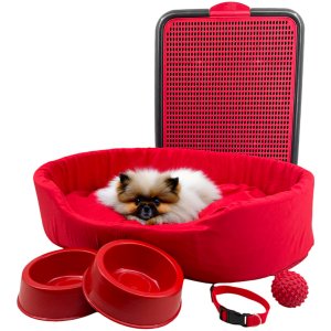 Kit Pet Pequeno Cama Europa Sanitário Comedouro Coleira Bola - Vermelho