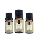 Ver imagem 1 de Kit 03 Essências Alecrim Silvestre Via Aroma 10ml