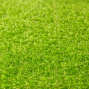 Ver imagem 5 de Grama Sintética Artificial 20mm com Proteção Uv e Anti-fungo 2,00 X 4,50m (9m²)