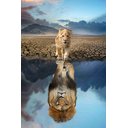 Ver imagem 4 de Quadro Decorativo Grande Para Sala Quarto Leão de Judá:Preto