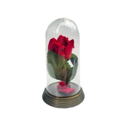 Kit Atacado 100 Redomas Cúpulas A Rosa Encantada P - 1