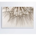 Ver imagem 6 de Quadro Dente de Leão 3 - 120x80 Cm - Tecido Canvas