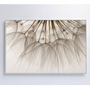Ver mais imagens de Quadro Dente de Leão 3 - 120x80 Cm - Tecido Canvas