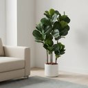 Ver imagem 7 de Kit 4 Árvores Ficus Artificial Detalhadas Revestidas em Silicone para Compor Vaso Decorativo Grande