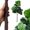 Ver imagem 3 de Kit 4 Árvores Ficus Artificial Detalhadas Revestidas em Silicone para Compor Vaso Decorativo Grande