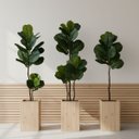 Ver mais imagens de Kit 4 Árvores Ficus Artificial Detalhadas Revestidas em Silicone para Compor Vaso Decorativo Grande