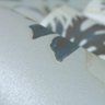Papel de Parede Vinilizado Folhagem Dk-0173- 0,68x9,14m ( ± 3%) - 3