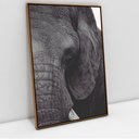 Ver imagem 4 de Quadro Decorativo em Canvas A Face do Elefante TaColado Moldura Flutuante 4,5cm Freijó 120 x 80cm