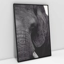 Ver imagem 6 de Quadro Decorativo em Canvas A Face do Elefante TaColado Moldura Flutuante 4,5cm Freijó 120 x 80cm