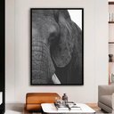 Ver imagem 1 de Quadro Decorativo em Canvas A Face do Elefante TaColado Moldura Flutuante 4,5cm Freijó 120 x 80cm