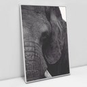 Ver imagem 3 de Quadro Decorativo em Canvas A Face do Elefante TaColado Moldura Flutuante 4,5cm Freijó 120 x 80cm