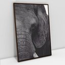 Ver imagem 5 de Quadro Decorativo em Canvas A Face do Elefante TaColado Moldura Flutuante 4,5cm Freijó 120 x 80cm