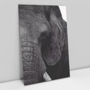 Ver imagem 2 de Quadro Decorativo em Canvas A Face do Elefante TaColado Moldura Flutuante 4,5cm Freijó 120 x 80cm