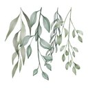 Ver imagem 1 de Adesivo de Parede Planta em Aquarela - Cartela Complementar Adesivos Primeiro Quarto
