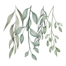 Adesivo de Parede Planta em Aquarela - Cartela Complementar Adesivos Primeiro Quarto - 1