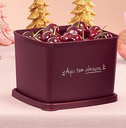 Ver imagem 3 de Tupperware Jeitoso 800ml Kit Aqui Tem Sorriso, Abraço e Carinho 3 Peças Tupperware Jeitoso 800ml Kit