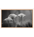 Ver imagem 2 de Quadro Decorativo N°157 115x70cm - Panorâmico Botânico - Cogumelos Preto e Branco - Rollflex
