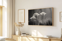 Ver imagem 1 de Quadro Decorativo N°157 115x70cm - Panorâmico Botânico - Cogumelos Preto e Branco - Rollflex