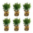 Ver imagem 6 de 6 Buquês Planta Artificial Decorativa Modelos Variados Ótimo Custo Benefício