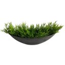 Ver imagem 7 de 6 Buquês Planta Artificial Decorativa Modelos Variados Ótimo Custo Benefício