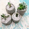 Kit Vaso de Cimento Poço para Plantas e Jardim Vasinho de Suculentas - 3