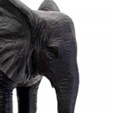 Ver imagem 6 de Escultura Decorativa Elefante em Poliresina Preto 26x31x13 cm - D’Rossi