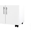 Ver imagem 4 de Balcao com rodizios Classic Bra Marm. 2 portas + 1 gaveta PASSE BEM