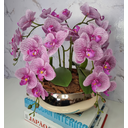 Ver imagem 3 de Arranjo Com 4 Orquídeas Violeta Vaso Dourado 28cm