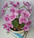Ver imagem 2 de Arranjo Com 4 Orquídeas Violeta Vaso Dourado 28cm