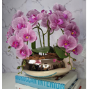 Ver imagem 1 de Arranjo Com 4 Orquídeas Violeta Vaso Dourado 28cm
