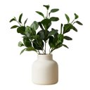 Ver imagem 6 de 7 Galhos de Planta Peperômia Artificial 65cm Decoração Toque Real