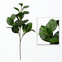 Ver imagem 5 de 7 Galhos de Planta Peperômia Artificial 65cm Decoração Toque Real
