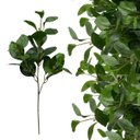 Ver imagem 1 de 7 Galhos de Planta Peperômia Artificial 65cm Decoração Toque Real