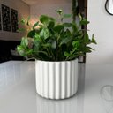 Ver mais imagens de 7 Galhos de Planta Peperômia Artificial 65cm Decoração Toque Real